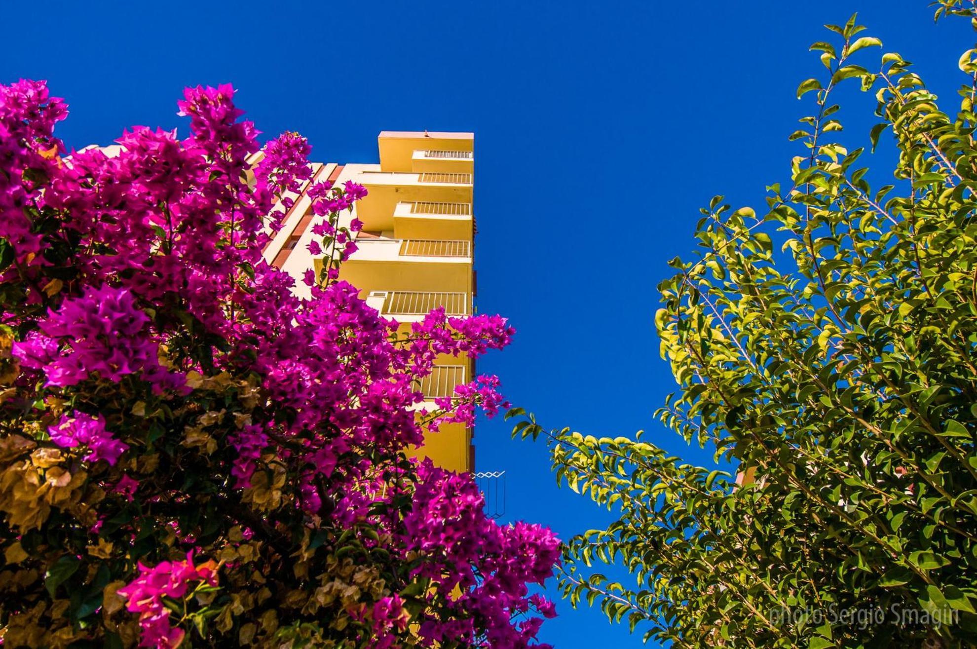 426 Estudio En Minerva Apartamentos - Vista Al Jardin - Piscina Y Playa Benalmádena Esterno foto